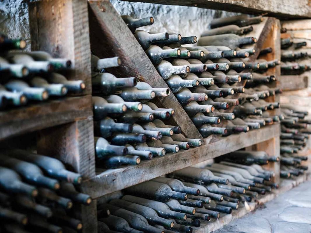 investir dans le vin bio