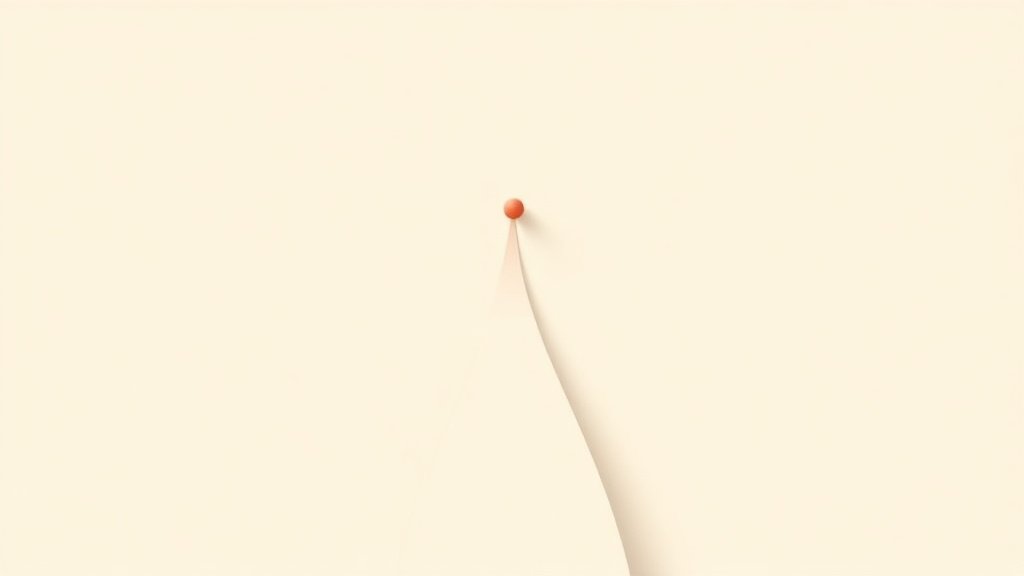 Illustration trois options donation au dernier vivant usufruit quotite disponible